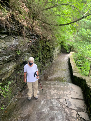 Debby on the trail