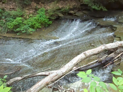 Bridal Vail Falls