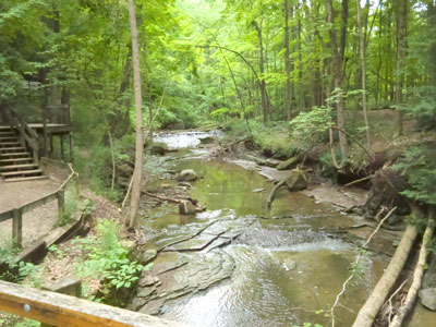 corner of bridge railing and
        path across falls