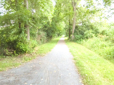 Catherine Valley Rail Trail