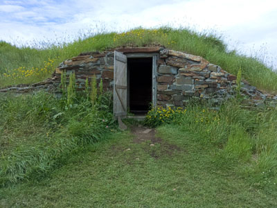 root celler