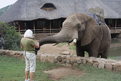 Debby feeding Michael