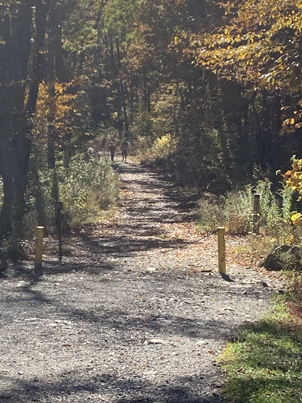 Trail