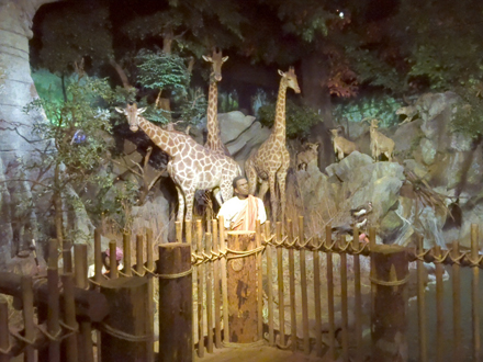 Africa diorama