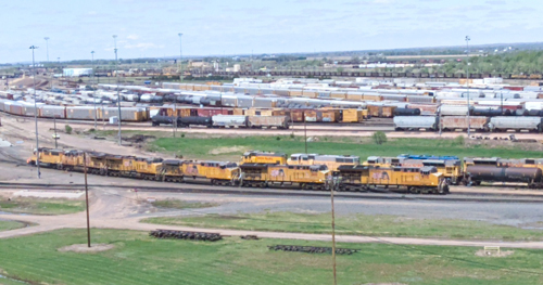 Bailey
Yard