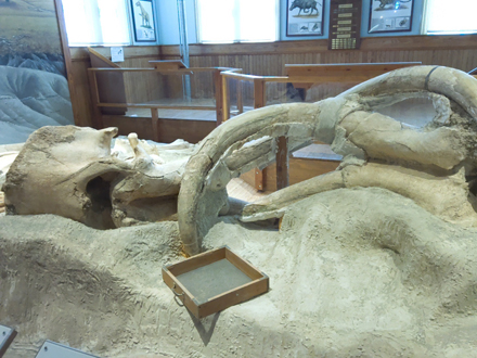 Mastodon's locked
        in death