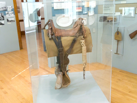 Calvery Saddle