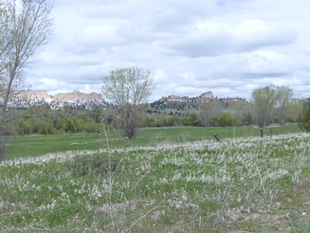 View from White River
        Trail