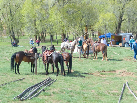 Setting up for
        pack horse race