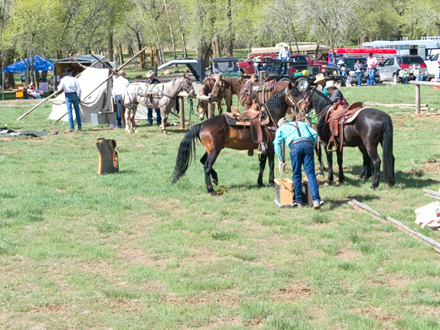 setting up for Pack horse race