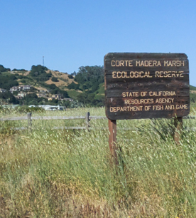 Corte Medera
Wetland