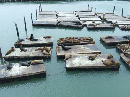 Pier 39