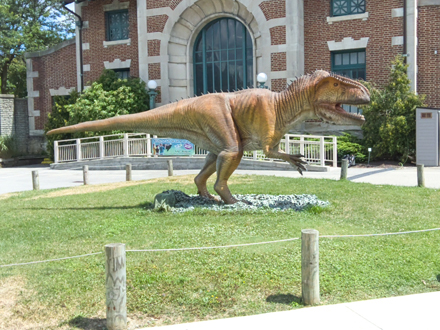 Dinosaur