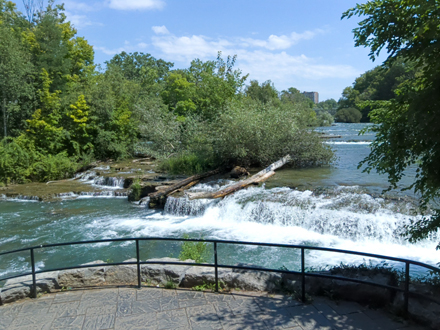The falls