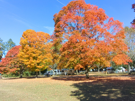 Croton Point Park
        in the Fall