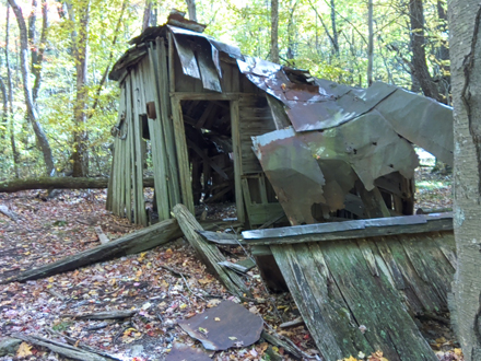 Cabin ruins