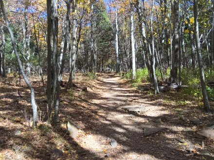 Stony Man Mountain Trail