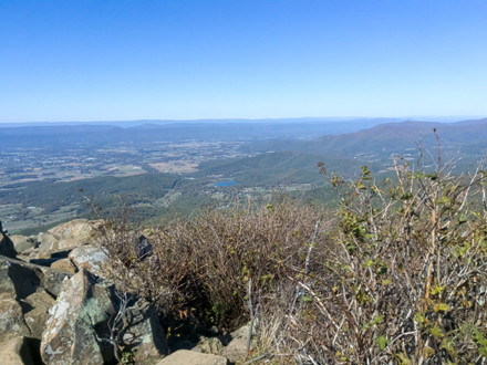 summiot
        of Stony Man Mountain