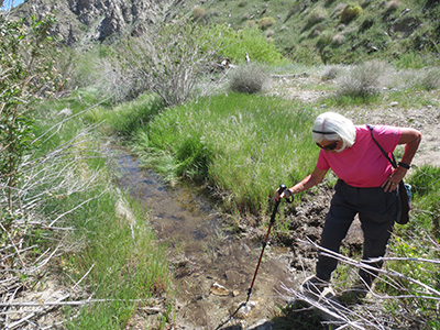 fording the
        stream