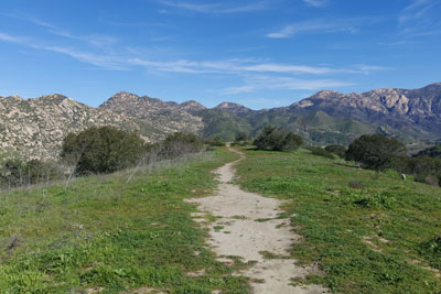 path in Lake Jennings Park
