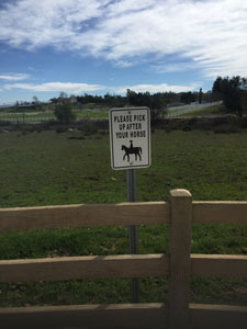pick up after your horse