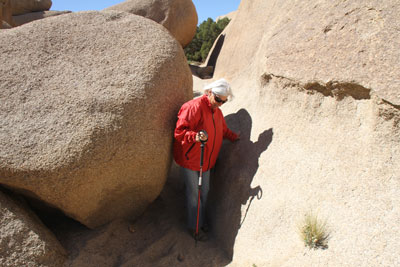 Debby on the trail