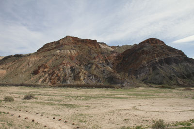 view from the Amargosa River Trail
