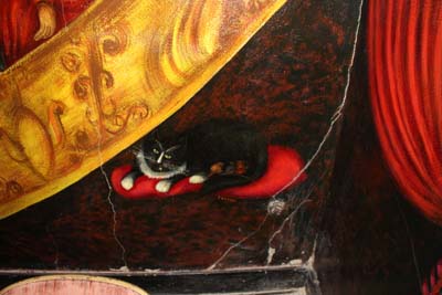 cat