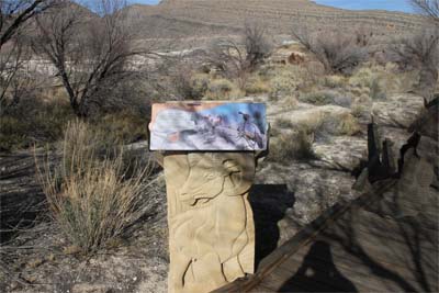Boardwalk with display of a mountain
        sheep