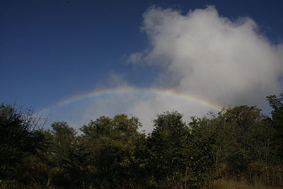 victoria falls rainbow
